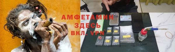 гидра Арсеньев