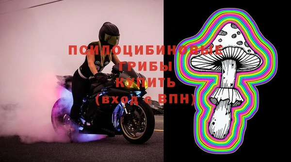 молекула духа Армянск