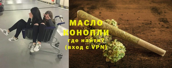 гидра Арсеньев