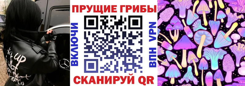 закладки  kraken рабочий сайт  Галлюциногенные грибы прущие грибы  Сычёвка 